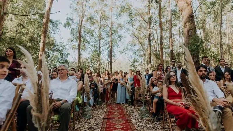 Alfombra Caminero Para Evento