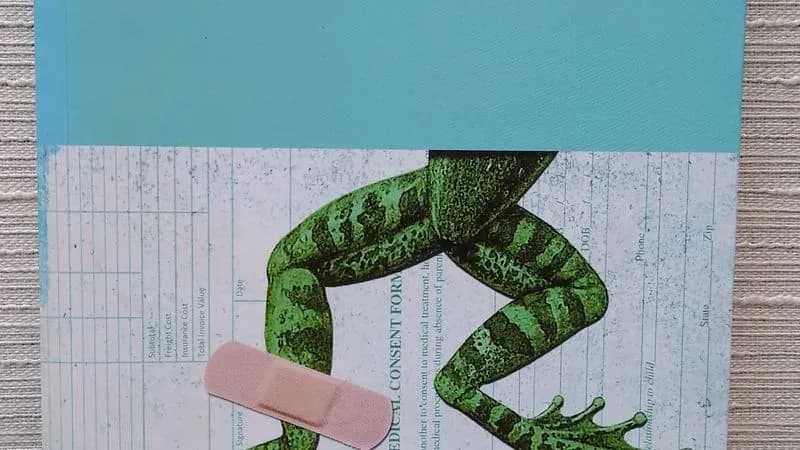¿quién Se Hará Cargo Del Hospital De Ranas?