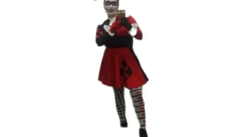 Disfraz De Arlequin