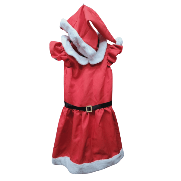 Disfraz de Mamá Noel