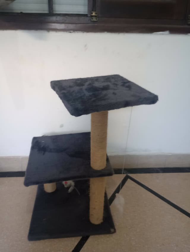 Rascadero Con Ratón Para Gatos — foto 2