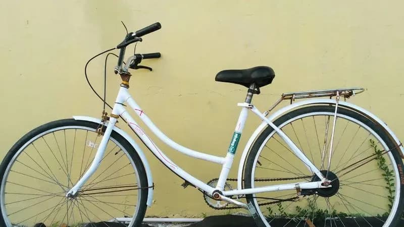 Bici Blankita