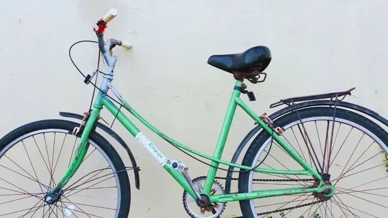 Bici Cotorra