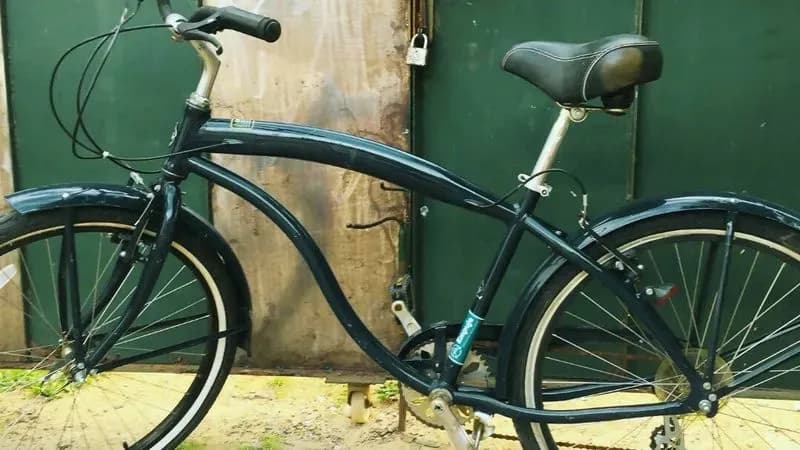 Bici Ballena