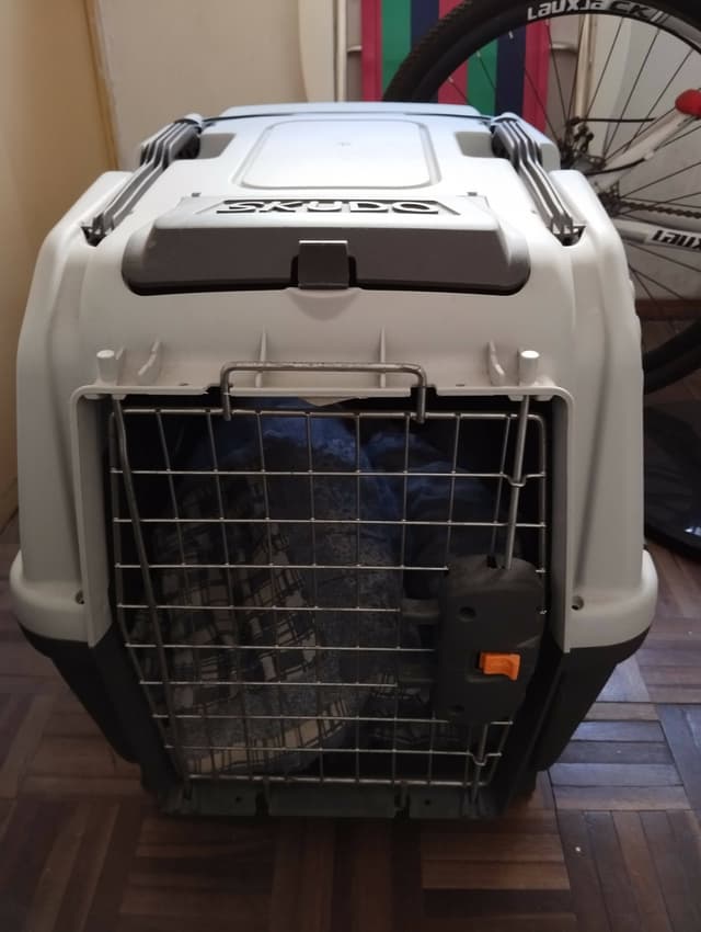Jaula Transportadora Skudo 4 — foto 4