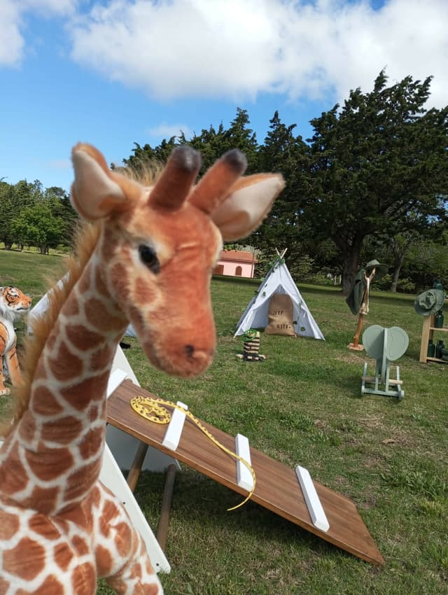 Plaza Safari — foto 3