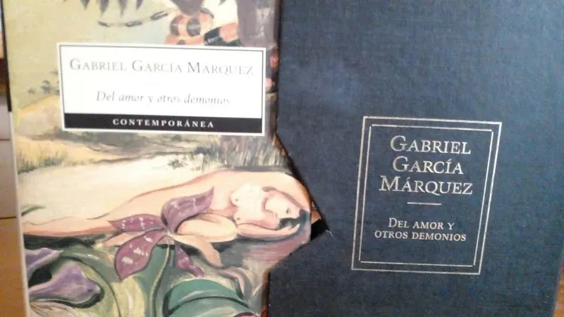Del Amor Y Otros Demonios