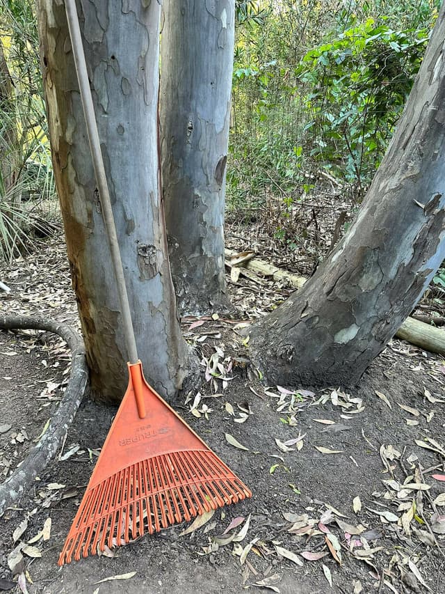 Rastrillo Escobilla De Jardín — foto 2