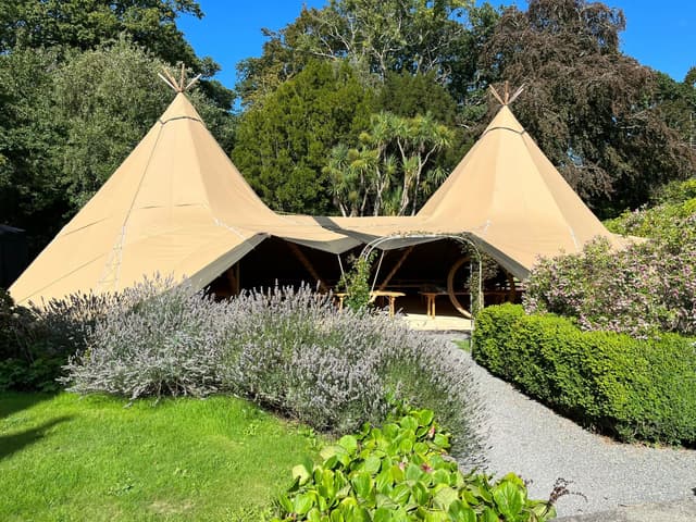 Kata Tipi + Set De Alfombrado — foto 3