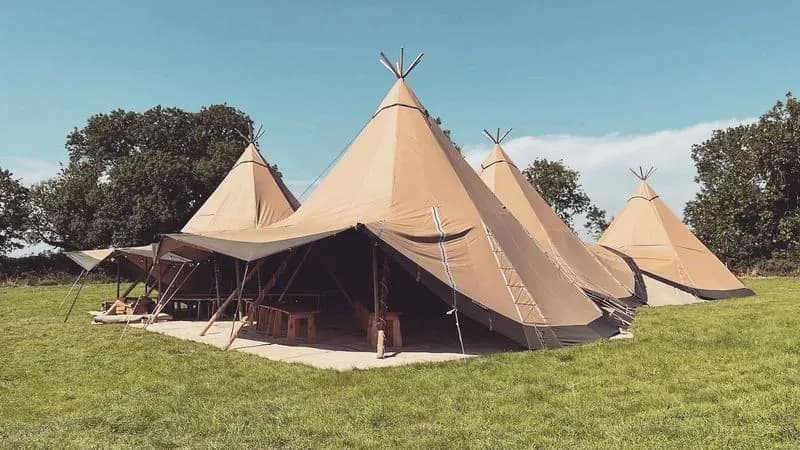 Kata Tipi + Set De Luces Y Alfombrado