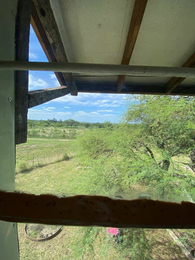 Cabaña De Estilo En Entorno Natural Único — foto 5
