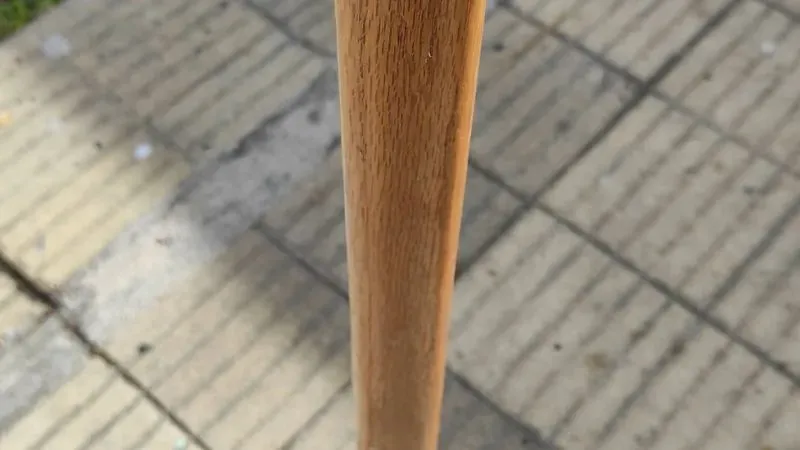 Maceta 8 Libras