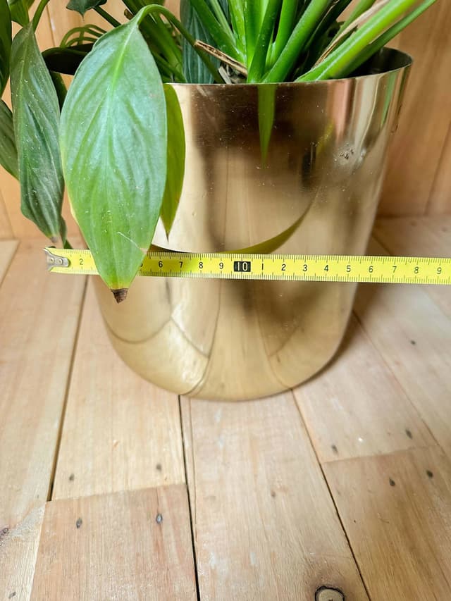 Planta Lirio En Maceta Dorada - Para Decoración O Set De Filmación — foto 5