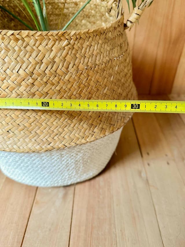 Planta Areca En Canasto De Mimbre — foto 4