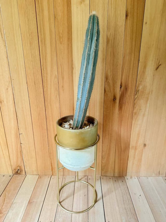 Porta Macetas Dorado - Para Decoración O Set De Filmación — foto 3