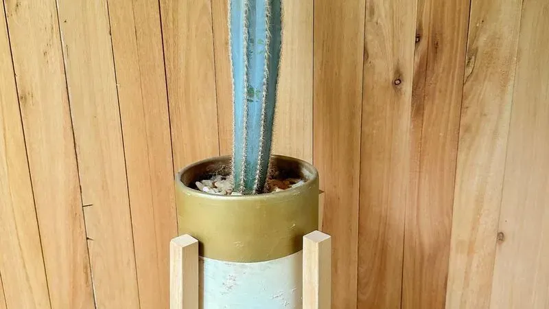 Porta Maceta En Madera - Para Decoración O Set De Filmación