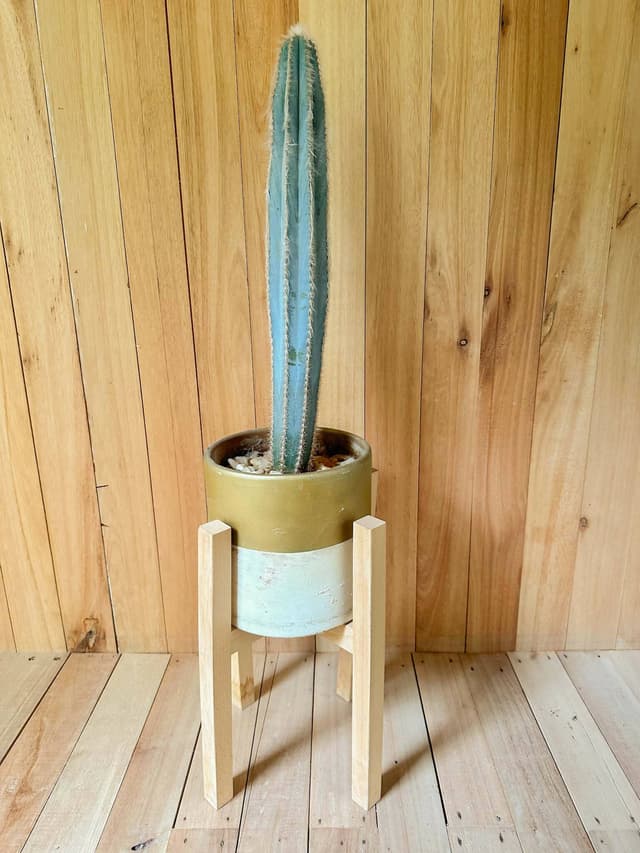 Porta Maceta En Madera - Para Decoración O Set De Filmación — foto 2