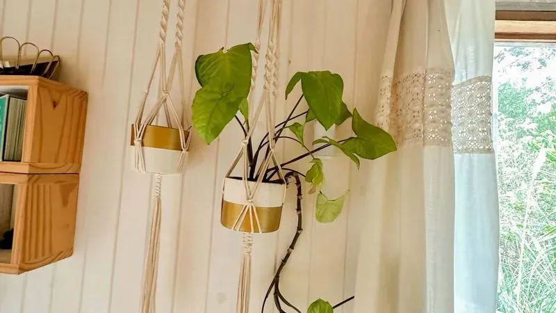 Maceta Colgante De Macramé