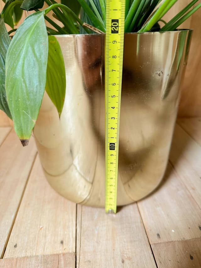 Planta Lirio En Maceta Dorada - Para Decoración O Set De Filmación — foto 4