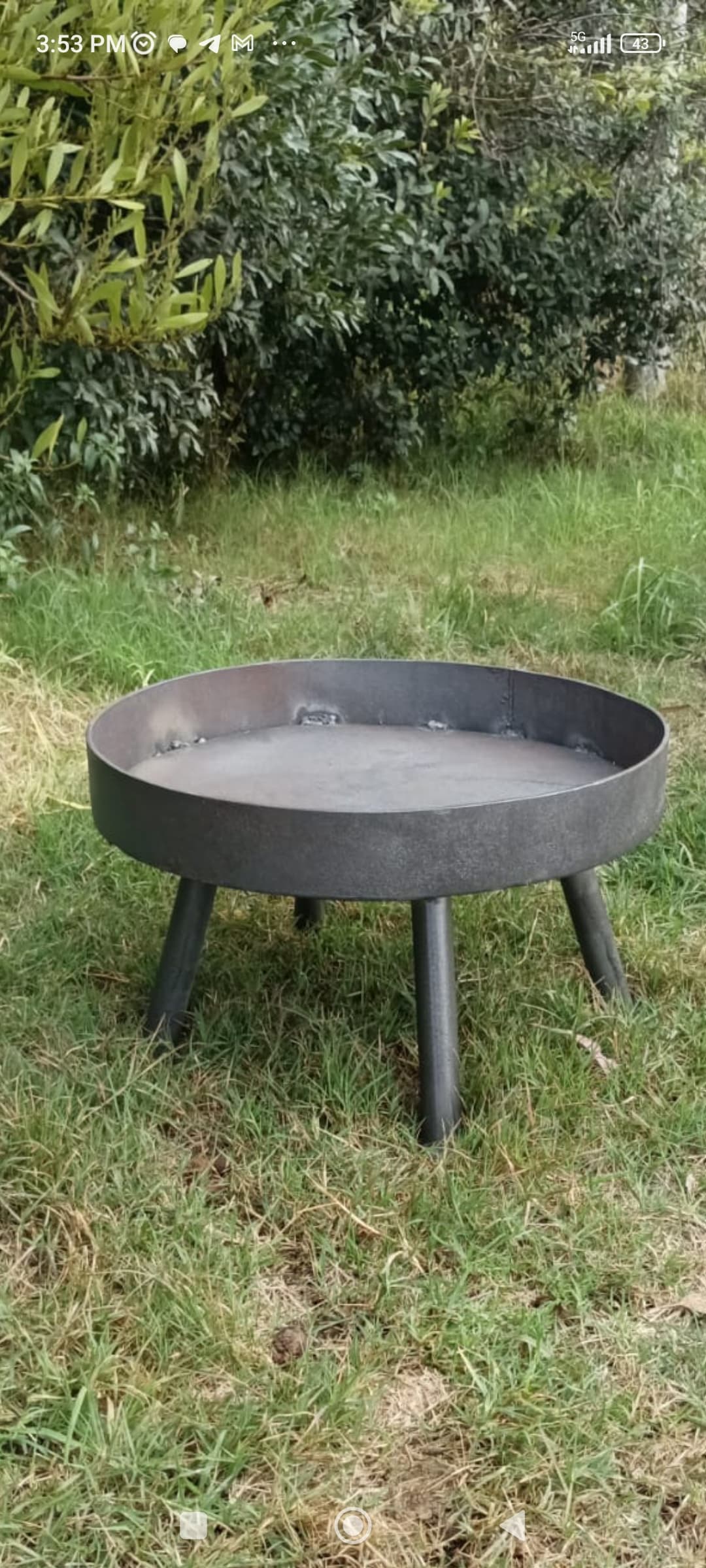 Fogonero De Jardin
