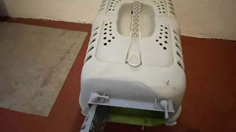 Transportadora De Mascotas