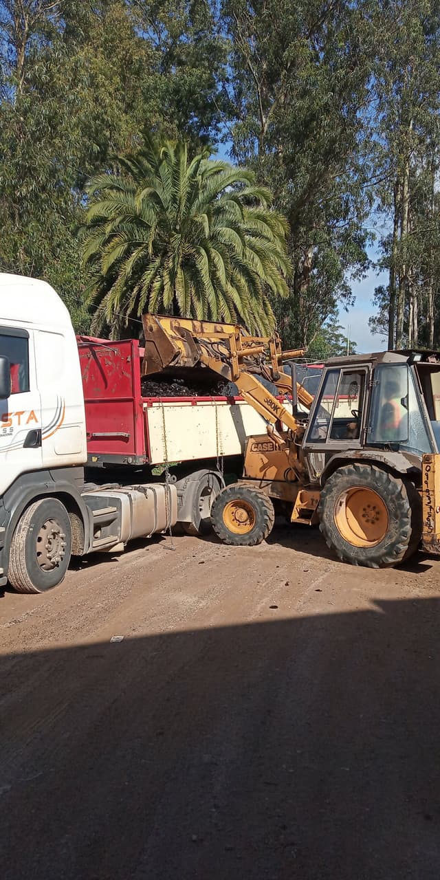 Maquinaria Bobcat Con Operador — foto 9