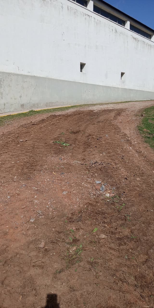 Maquinaria Bobcat Con Operador — foto 8